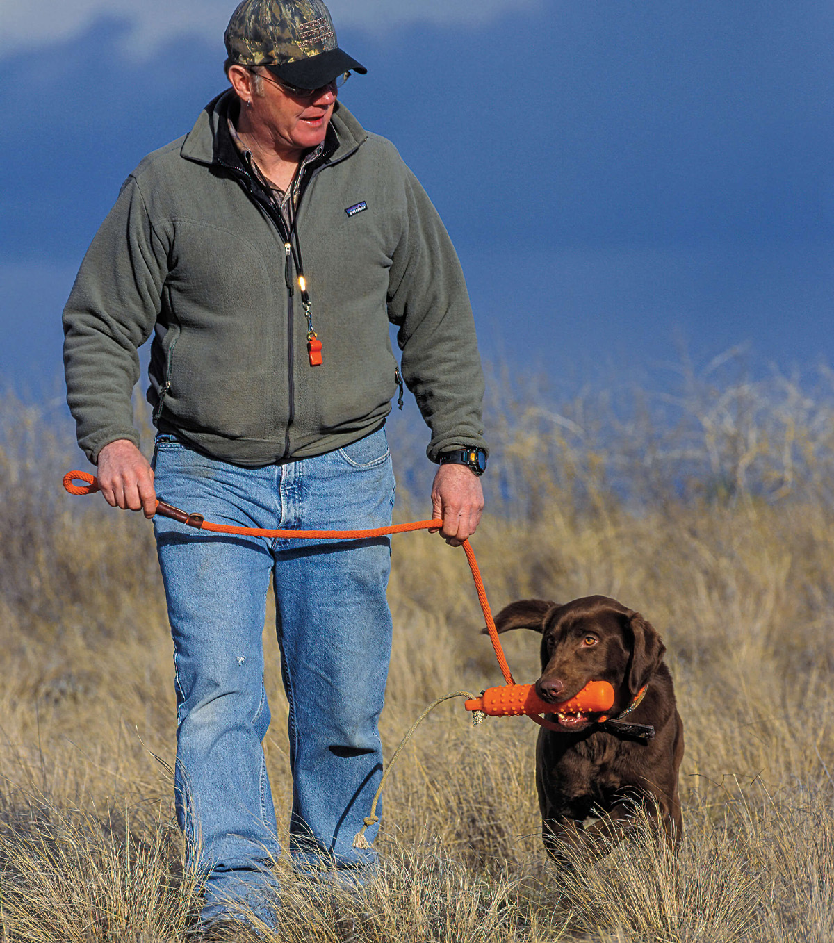 Collars and Leads Ducks Unlimited